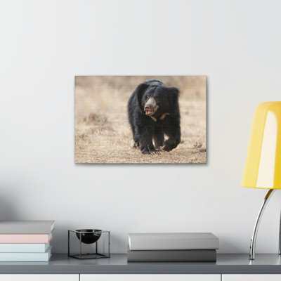 Art mural majestueux paresseux ours