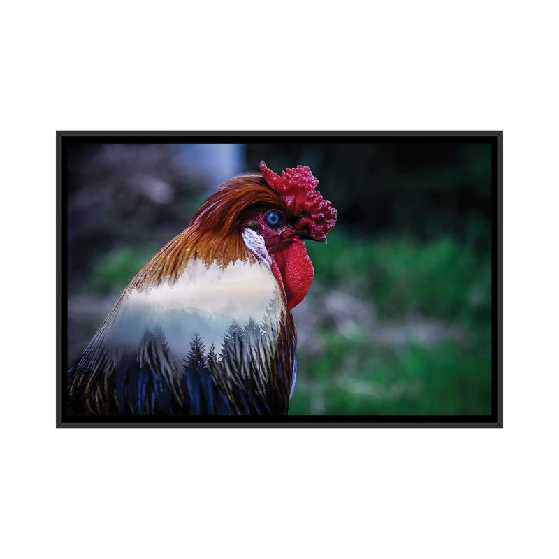 Rooster by Paul Haag - Print on Canvas, 101.6 cm H x 66.04 cm W, Black Framed