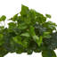 Plante de feuillage artificiel 12"