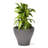 Fernway Self-Watering Plastic Planter-83462858-96916942
