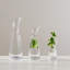 Barre Glass Carafe-596986020