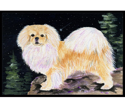 Bernadeta Non-Slip Indoor Doormat