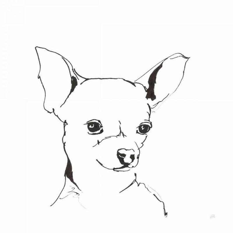 Art sur toile tendue, Winston Porter Paschke, Chris Gallery, Chihuahua, H 20 po x l 20 po