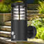 Birchview 22.2cm H Outdoor Sconce