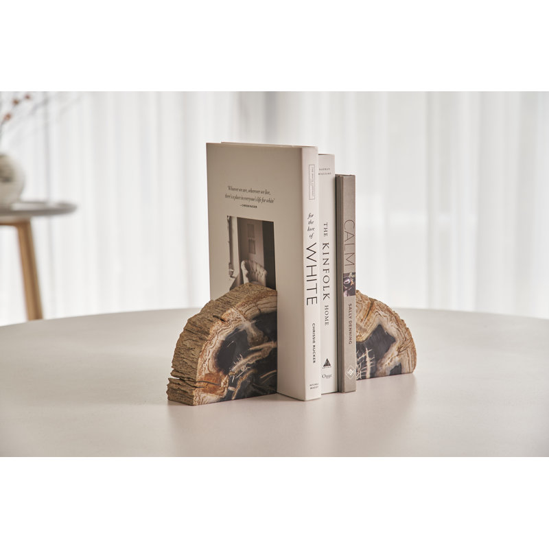 Petrified Wood Pair of Bookends