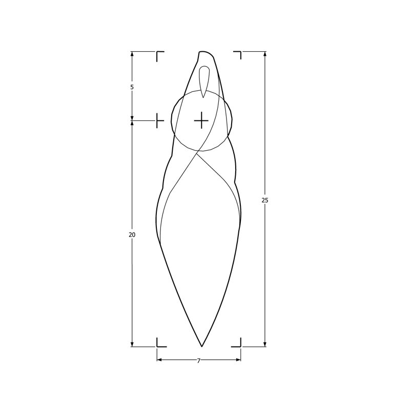 Xavier Clarisse Embossed Leather Wall Sconce, Black, Black/Gold