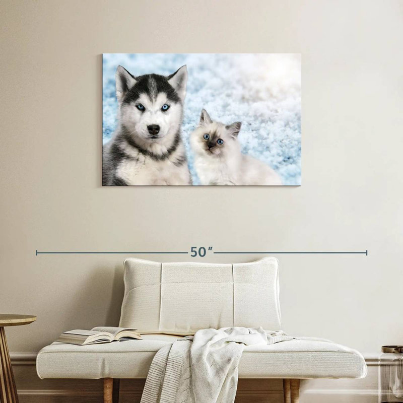 Chiot et chaton aux yeux bleus Brampt, H 24 po x l 36 po