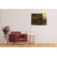 Vincent Van Gogh - Wrapped Canvas Painting-21211078