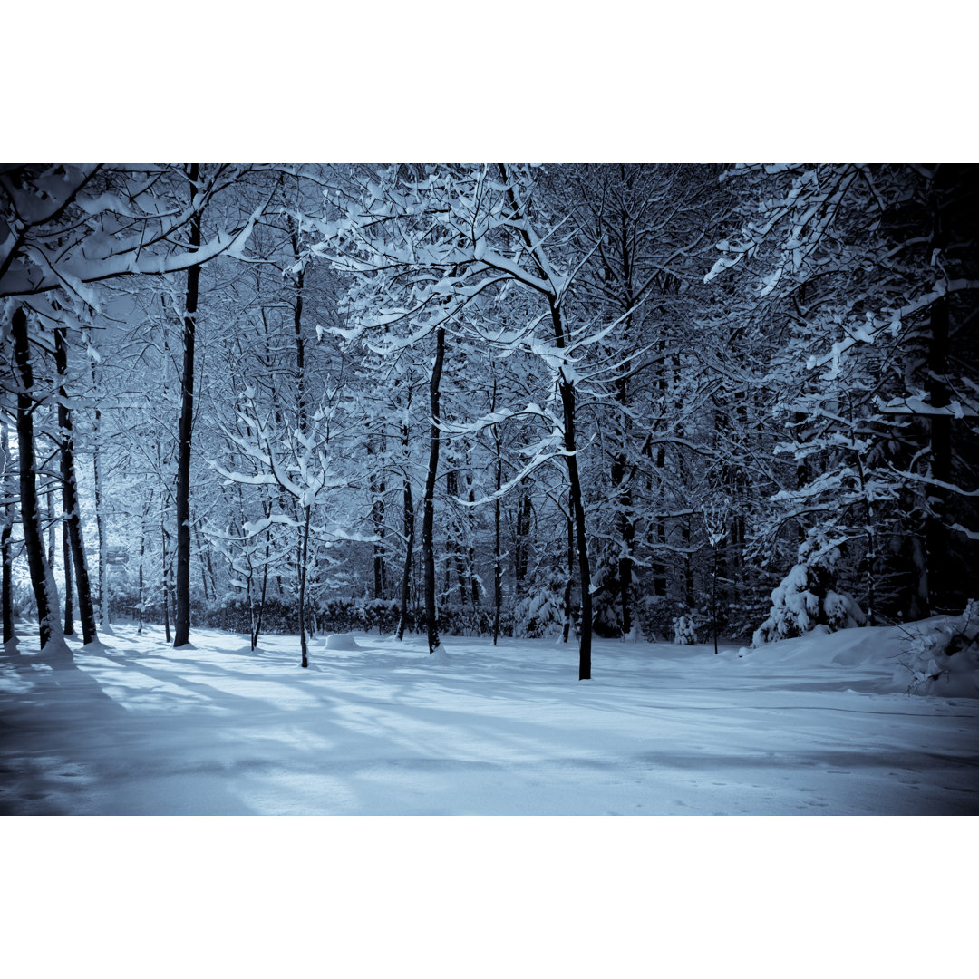 Winter Woods Landscape von Oliale72 - Ohne Rahmen auf Leinwand drucken