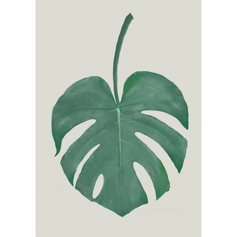 Monstera 05, 76.2 cm H x 50.8 cm W