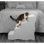 Escalier facile pour animaux 4 marches