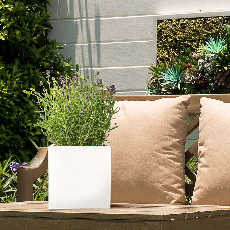 Concrete Effect Square Planter, Frostproof Reinforced Stone Outdoor Plant Pot, Garden Planter Box with Drainage Holes