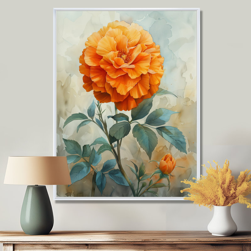 Orange orange, fleur parfumée, souci I - impression murale souci, White Picture Framed, H 34 po x l 44 po