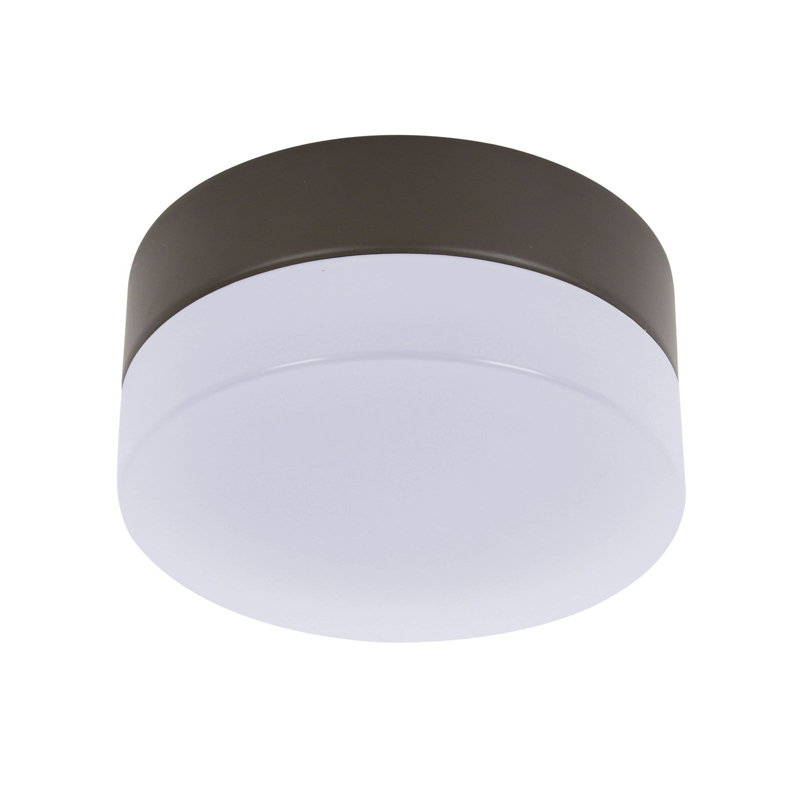 Ensemble d’éclairage pour bol à ventilateur de plafond 1 lumière, Noir