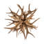 Rustic Lodge 6 - Light Chandelier
