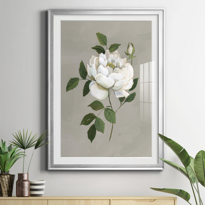 Rose botanique - reproduction d'art encadrée, Argent, H 30,5 po x l 42,5 po x P 1,5 po