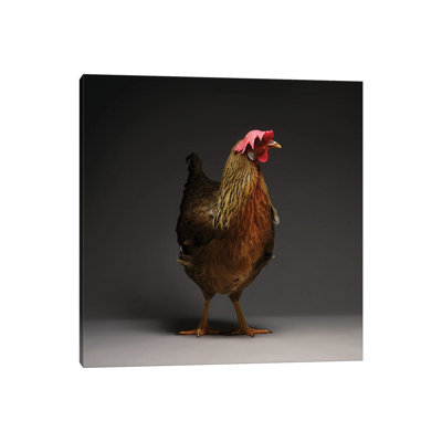 Leghorn - Wrapped Canvas Print