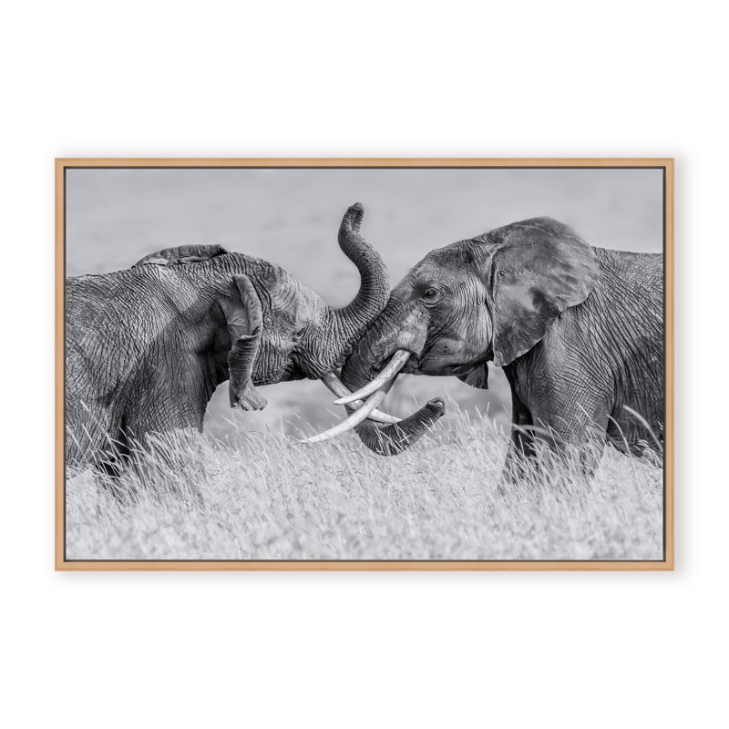 Nature Inspired Elephant Tai Chi by  - Picture Frame Photograph on Paper, 16" H x 24" W x 1.125" D, Black