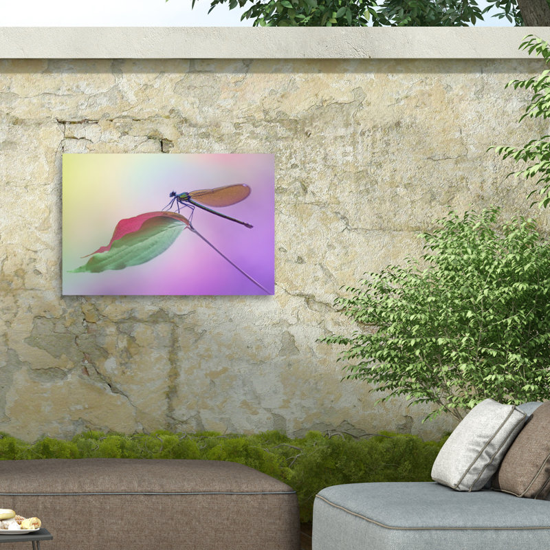 Fabrizio Daminelli  Calopteryx Splendens Outdoor  Canvas, H 12 po x l 19 po