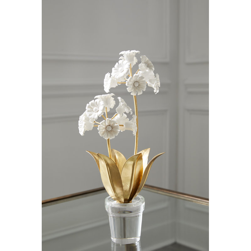 Tulip Auricula Floral Arrangement in Vase