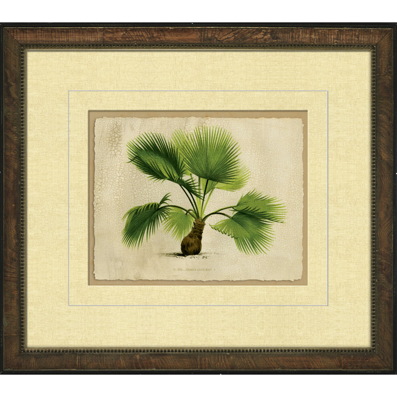 Small Crackled Horizontal Palm IV Painting