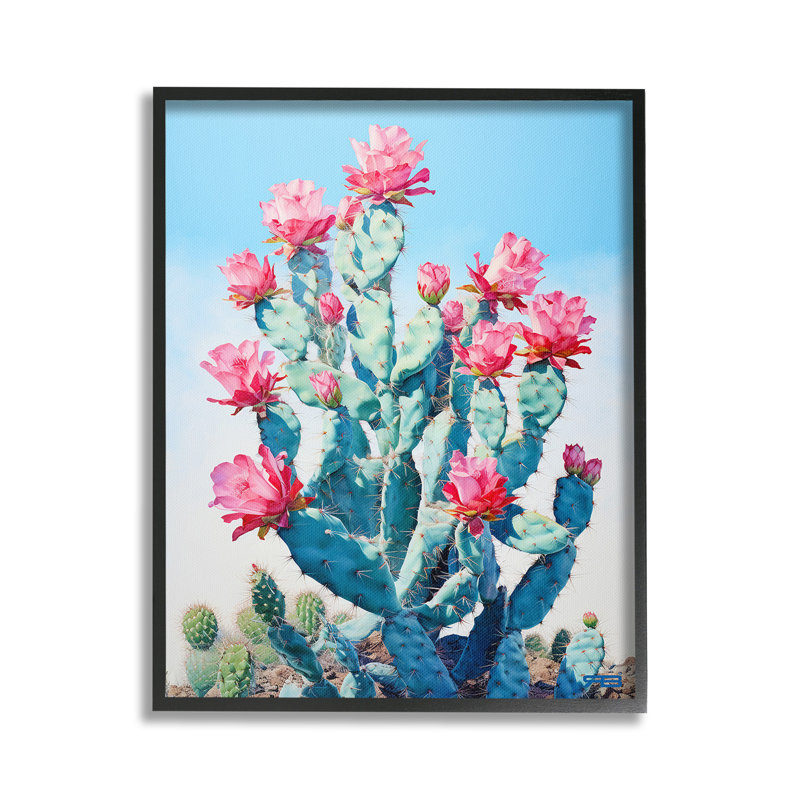 Fleurs de cactus du Sud-Ouest, estampe numérique encadrée par RB, Giclée encadrée noir minuit, H 30 po x l 24 po