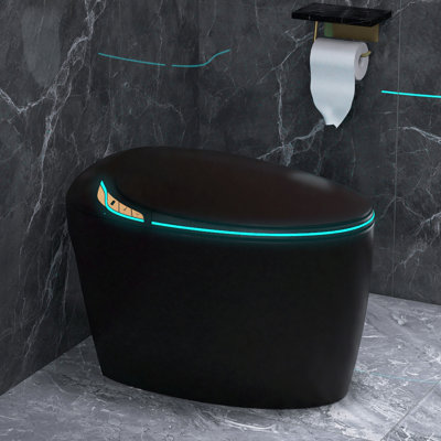 Elongated Egg Shaped Smart Toilet With Bidet Seat, Auto Open&Auto Flush, Adiusted Heated Seat, Warm Water And Dryer, Night Light, Side Buttons