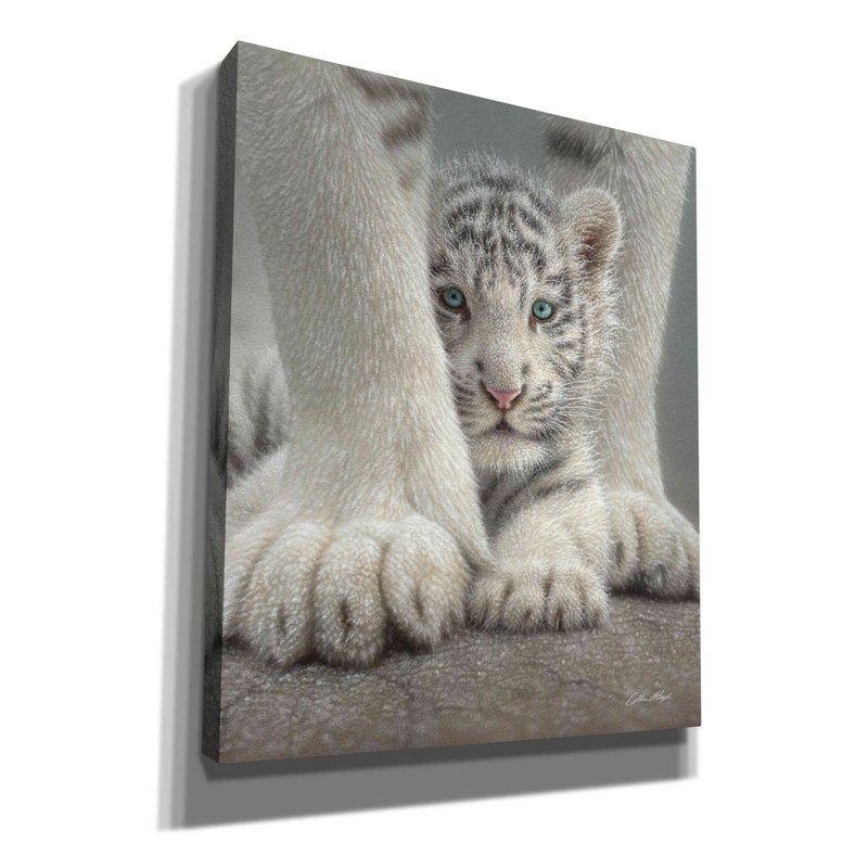 'Sheltered' by Collin Bogle, Canvas Wall Art, 24" H x 20" W x 0.75" D