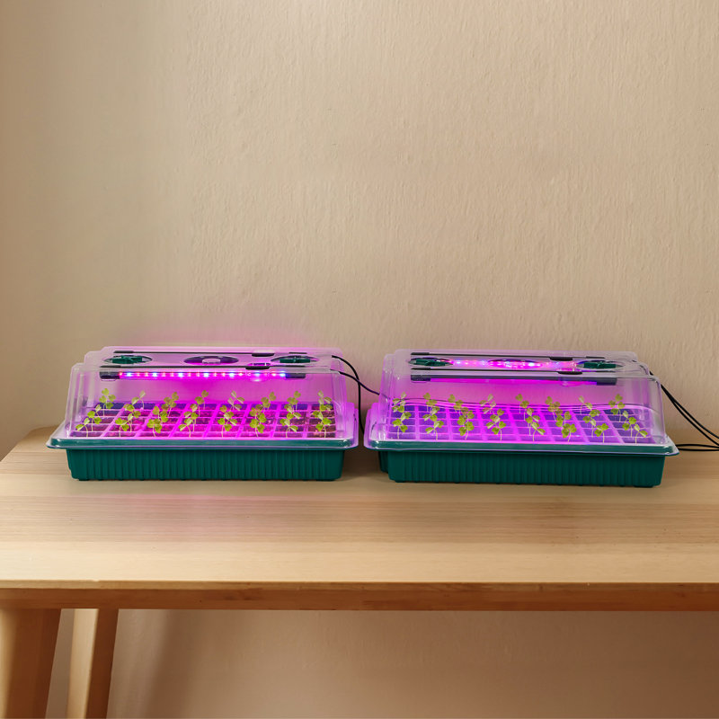 2-Layer Germination Kit For Seedlings, Indoor Gardening System