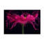 Art sur toile «ologic chaos »par bolologien Cindy Vondran-109334649