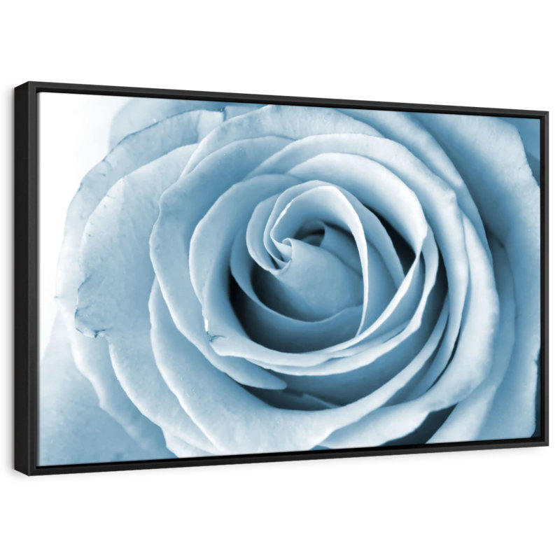 «Pearly White Rose», reproduction sur toile, H 9 po x l 13 po