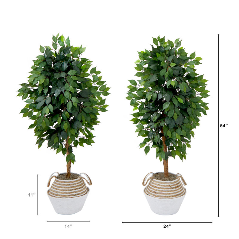 4.5ft. Artificial Ficus Tree with Double Trunk in Handmade Cotton & Jute Basket DIY KIT