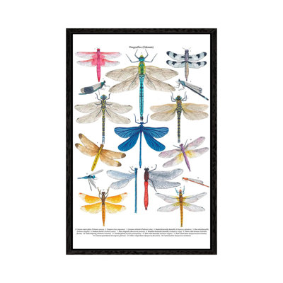 Dragonflies 1 Piece Wall Art on Canvas