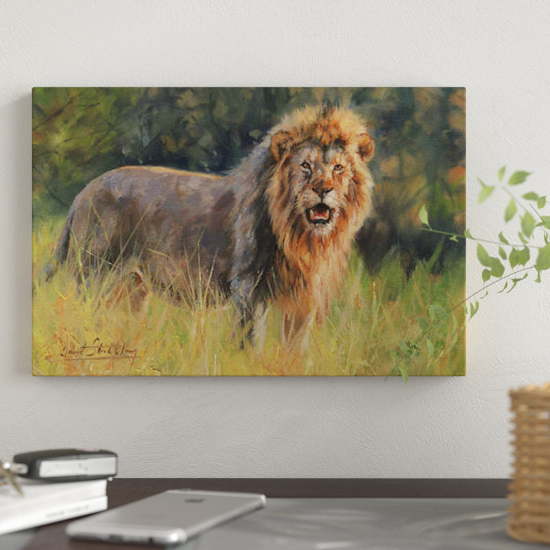 « lion evening light », impression sur toile, H 26 po x l 40 po x P 1,5 po, Pas de tapis, Toile tendue