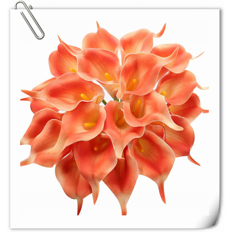 20 pièces de fleurs de lys Calla, Jaune orange