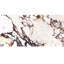 Carreau de porcelaine d'aspect marbre 12 po x 24 po Cala Rosso