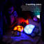 Projecteur d'étoiles apaisant pour la nuit | Lumière douce 3 couleurs | 8 constellations | Arrêt automatique Bleu tortue du crépuscule