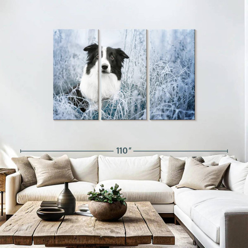 Brampt Winter Border Collie, 48" H x 74" W