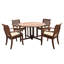 Arbor Outdoor 5 - Piece Teak Dining Set