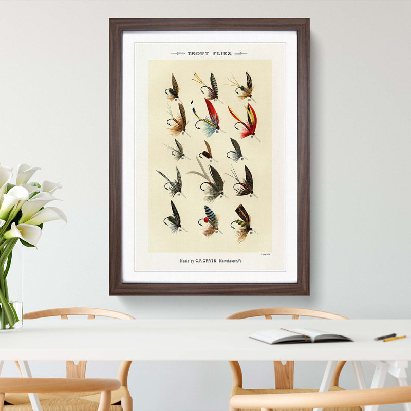 Trout Fishing Flies Version 3 by Mary Orvis Marbury - Framed Print, Walnut, 91cm H x 60cm W x 2cm D