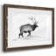 Lone Bull encadré sur papier-770959342-770959337
