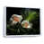 White Floater Framed