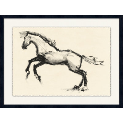 Spirited Equine Study 4