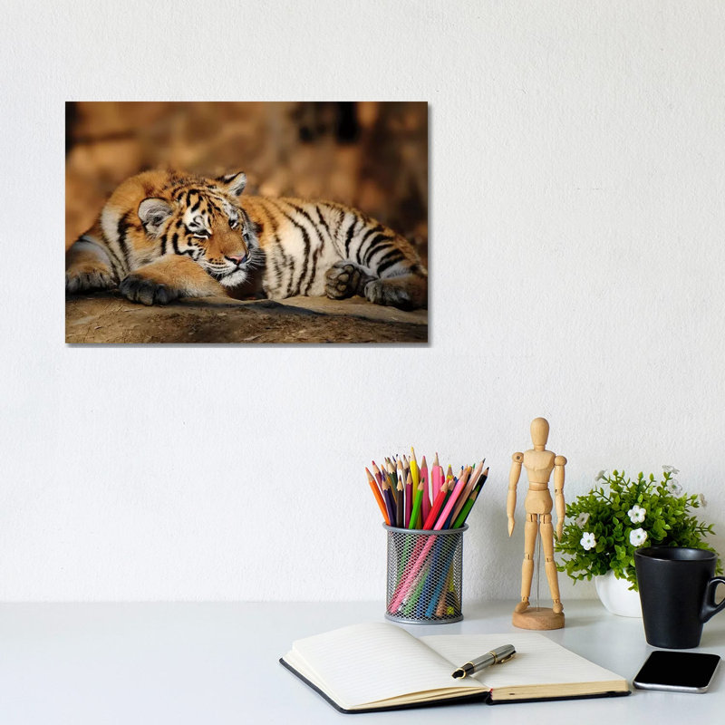 Tiger XII by Goran Anastasovski - Wrapped Canvas Print, 20.32 cm H x 30.48 cm W
