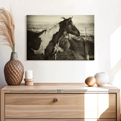 Kissing Horses I