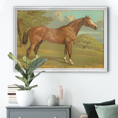 " Cassells Thoroughbred I "