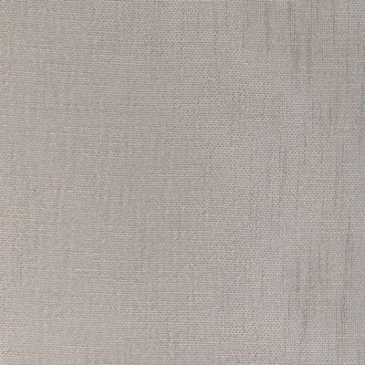 Kravet Basics - 90039-11