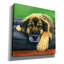 «Cute Shepherd Mix Dog» par Rebecca Wang, art mural sur toile, 37 po x 37 po-1010195465