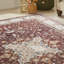 Traditional Red Washable/Stain Guarded Area Rug -673928708