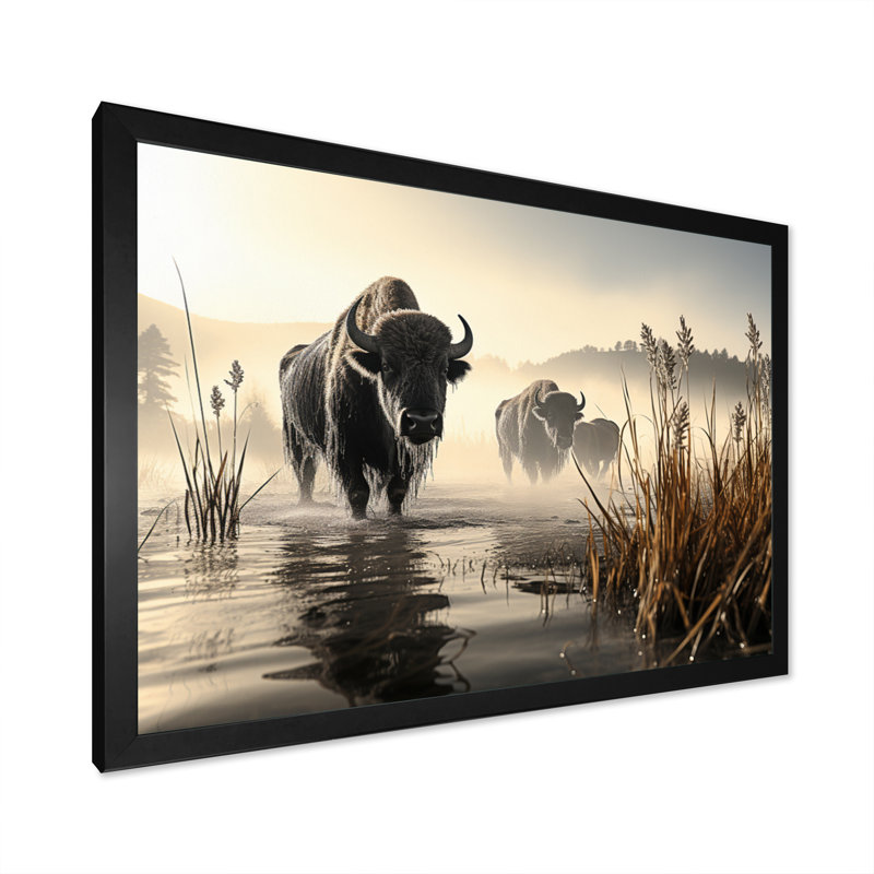 «Gray Buffalo Misty Morning Grazing I», reproduction d'art sur toile, H 24 po x l 32 po x P 1 po, Cadre simple noir